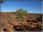 foto Parco nazionale Uluru-Kata, Tjuta